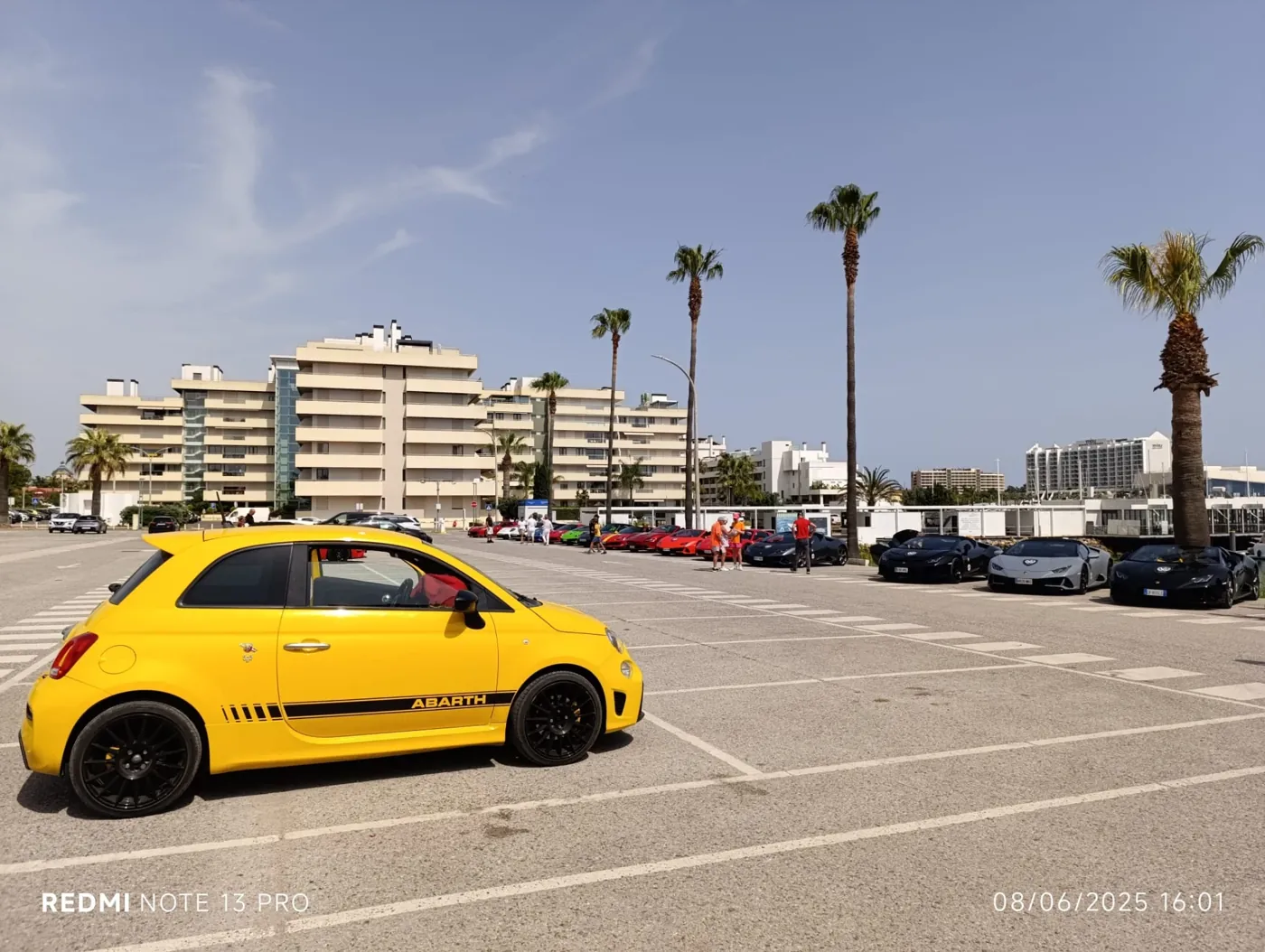 Partners — Algarve Safari