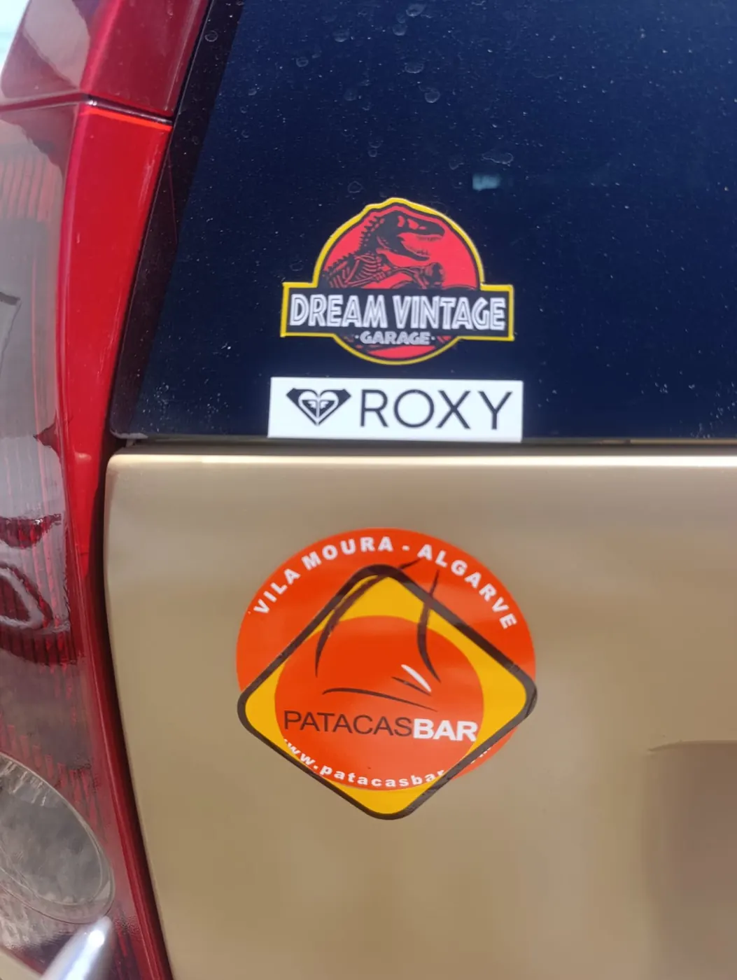 Partners — Algarve Safari