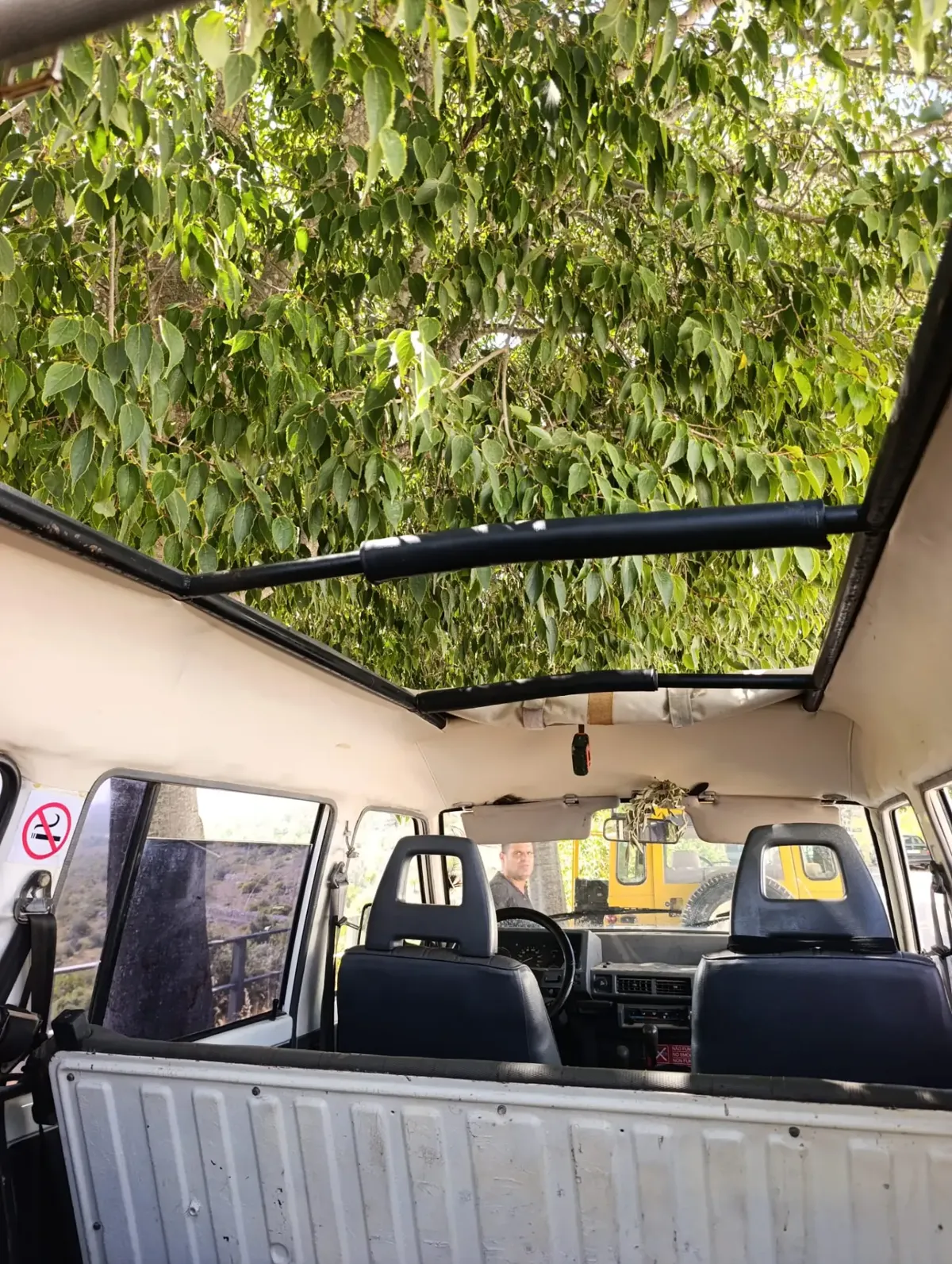 Fully Customizable Private Safari — Algarve Safari (3)